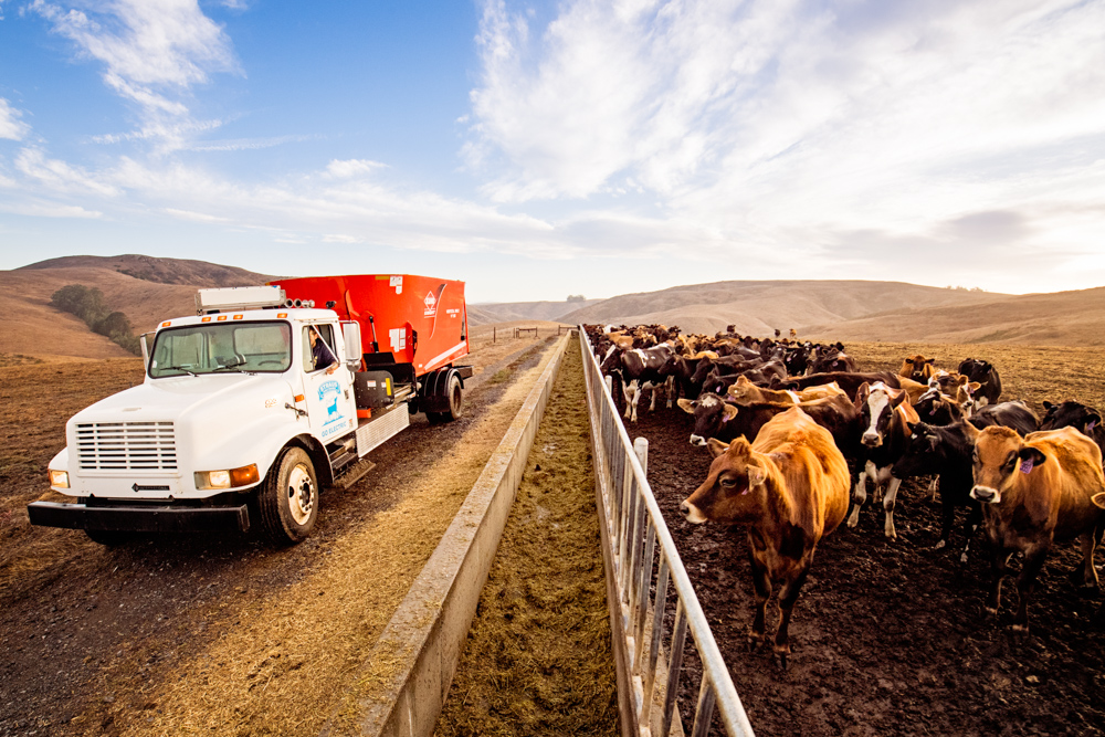17_10_20_Straus_Farm-760