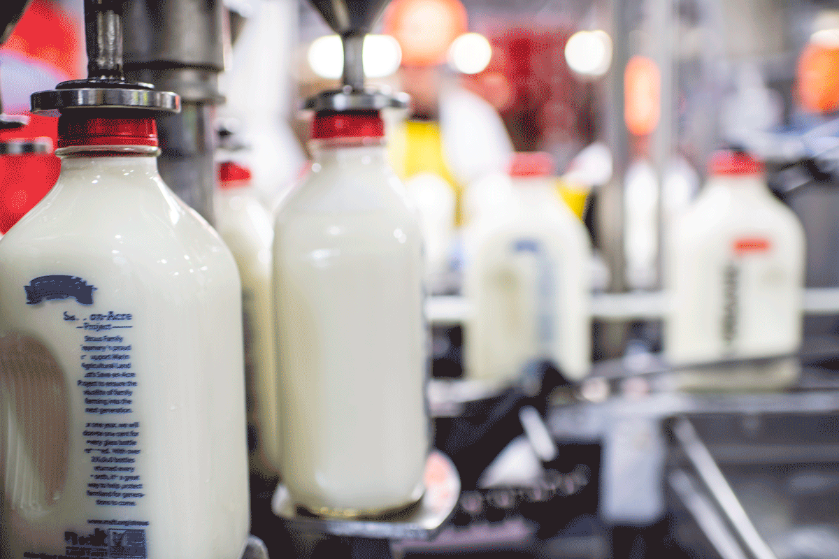 straus_milk